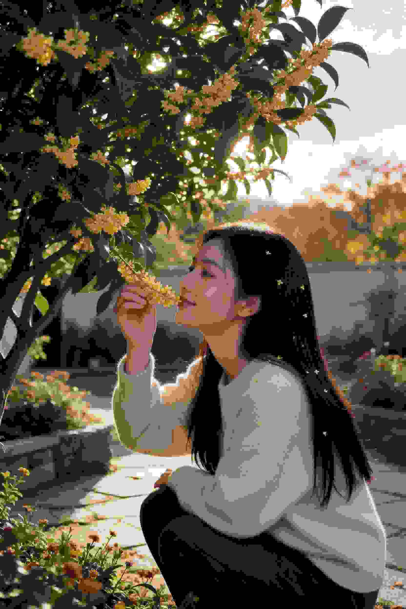 甜蜜时光机